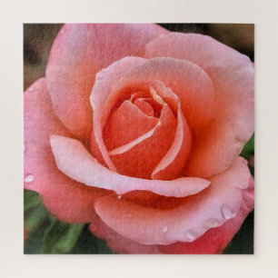 Romantic Rose Botanical Art Print Jigsaw Puzzle
