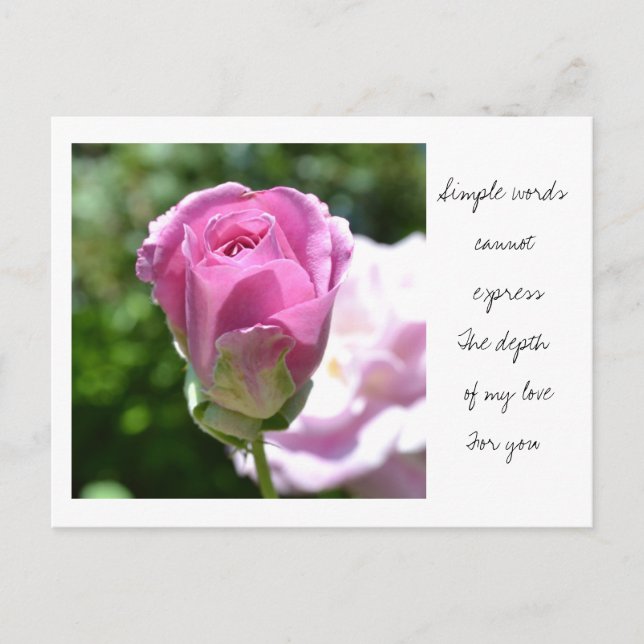 Romantic Rose Bud Postcard (Front)