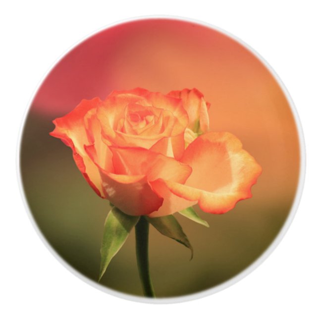 Romantic Rose Ceramic Knob (Front)