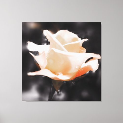 Romantic Rose Flower Canvas Print