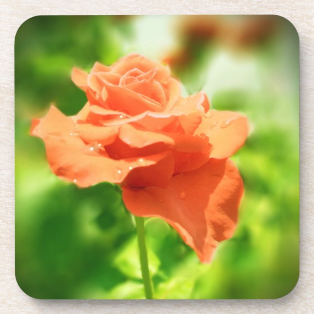 Romantic Rose Flowers #2 Coaster (Front)