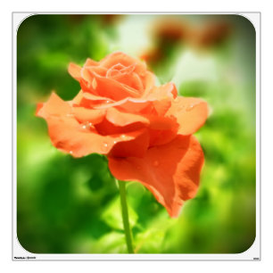 Romantic Rose Flowers #2 Wall Decal