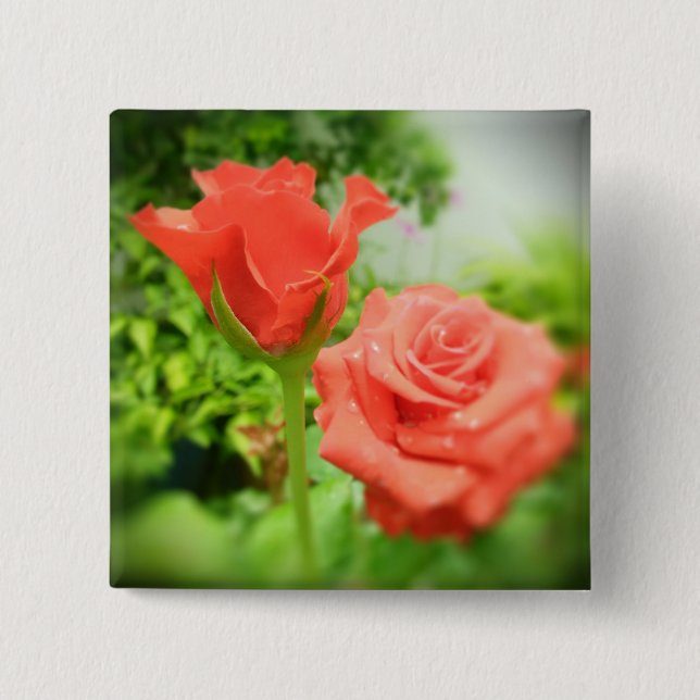 Romantic Rose Flowers Button (Front)