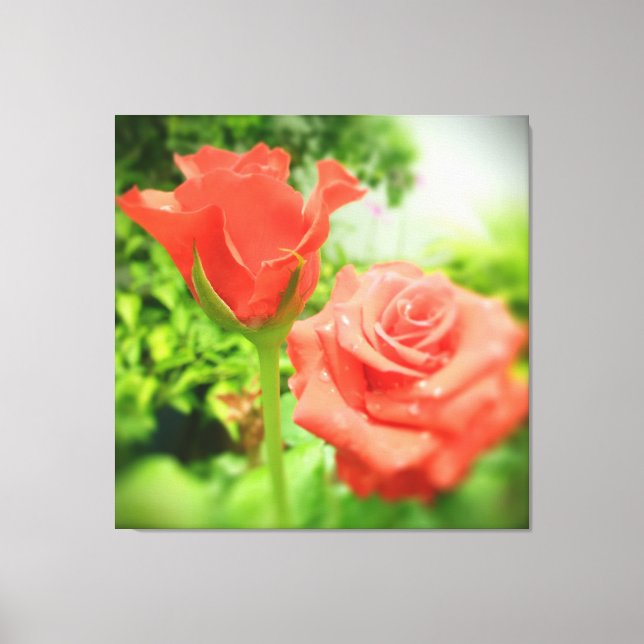 Romantic Rose Flowers Canvas Print (Front)
