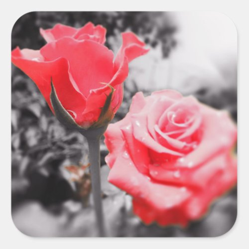 Romantic Roses Square Sticker