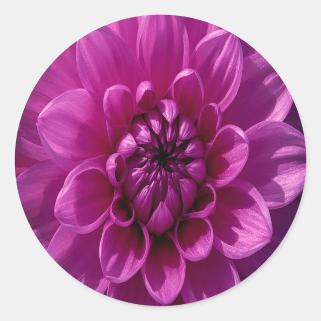 Romantic Rosy Floral Classic Round Sticker (Front)