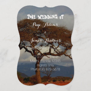 Romantic Safari Africa Bridal Wedding Programs