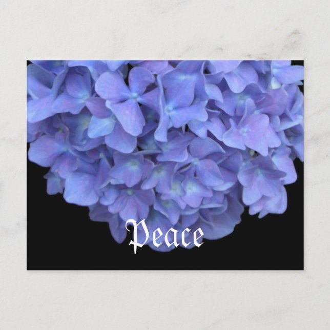 Romantic Safari Floral Bridal Shower Peace Destiny Invitation Postcard (Front)