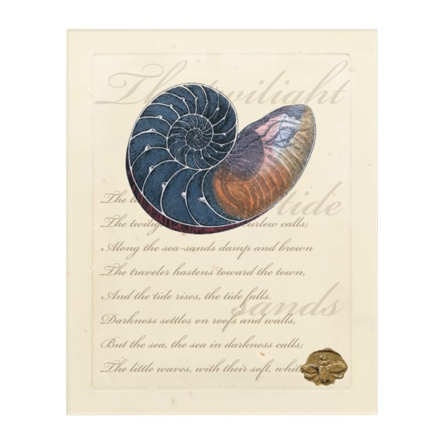 Romantic Seashell Acrylic Print (Front)