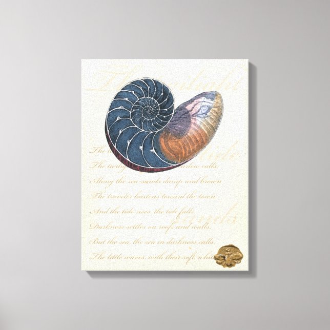 Romantic Seashell Canvas Print (Front)
