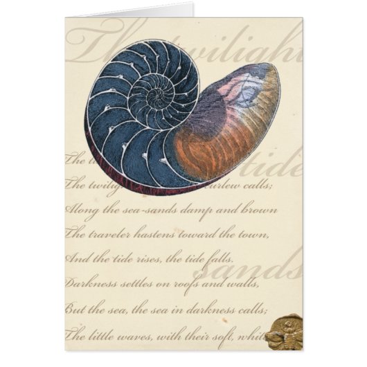 Romantic Seashell Cards (Front)