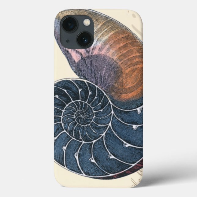 Romantic Seashell Case-Mate iPhone Case (Back)