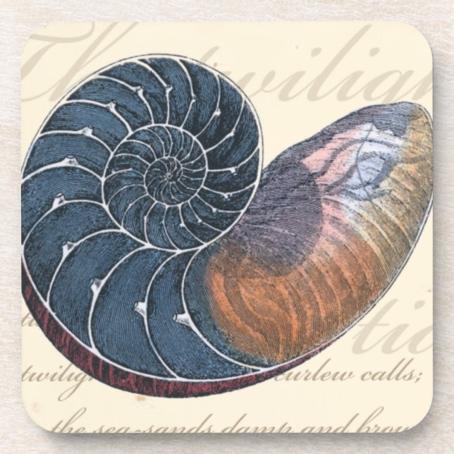 Romantic Seashell Coaster (Front)