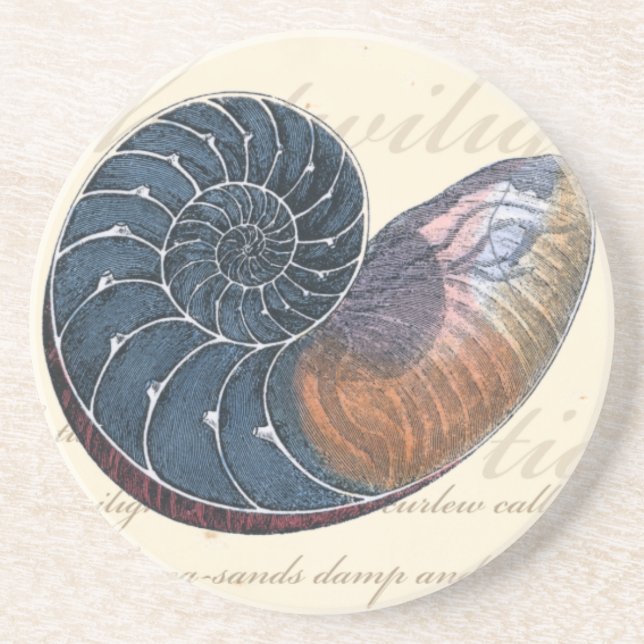 Romantic Seashell Drink Coaster (Front)