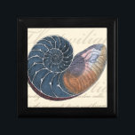 Romantic Seashell Keepsake Box<br><div class="desc">Do you live far away from the beach? No problem! Get this romantic seashell painting so you can image yourself sitting on a peaceful beach on a warm sunny day. This piece of art romanticizes the sea and the little waves which will leave you yearning for a visit the beach....</div>