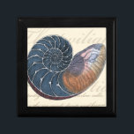 Romantic Seashell Keepsake Box<br><div class="desc">Do you live far away from the beach? No problem! Get this romantic seashell painting so you can image yourself sitting on a peaceful beach on a warm sunny day. This piece of art romanticizes the sea and the little waves which will leave you yearning for a visit the beach....</div>