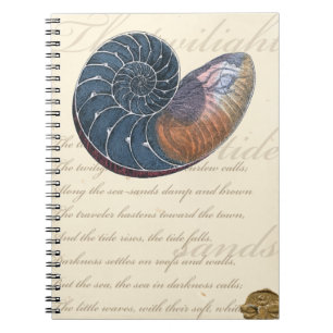 Romantic Seashell Notebook