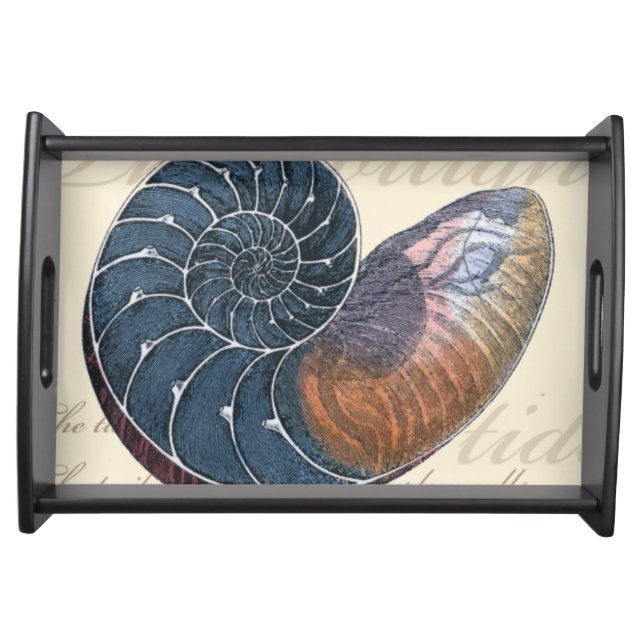 Romantic Seashell Serving Tray (Front)