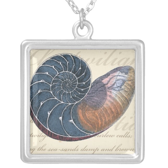 Romantic Seashell Silver Plated Necklace (Front)