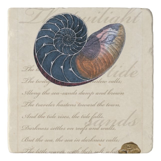 Romantic Seashell Trivet (Front)