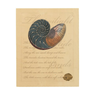 Romantic Seashell Wood Wall Decor