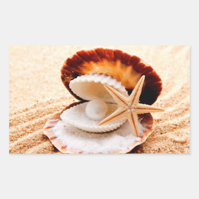 Romantic seashells on the beach stickers (Front)