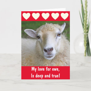 Romantic Sheep True Love Valentine's Day Holiday Card