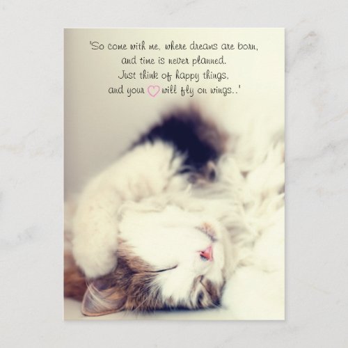 Romantic sleeping cat scene JM Barrie quote Postcard