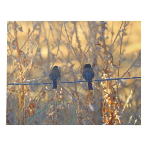 Romantic sparrow bird couple on a wire Photo Notepad