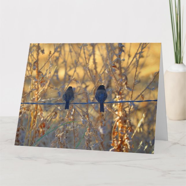 Romantic sparrow bird couple, Photo Big Greeting Card (Front)