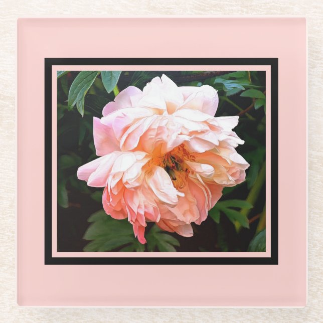 Romantic Spring Peony in Pale Peach Glass Coaster (Front)