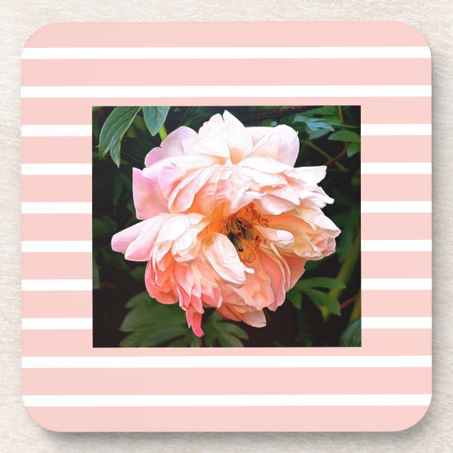 Romantic Spring Peony on Peach Stripes Beverage Coaster (Front)