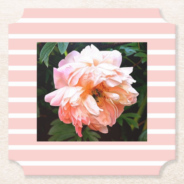 Romantic Spring Peony on Peach Stripes Paper Coaster (Front)