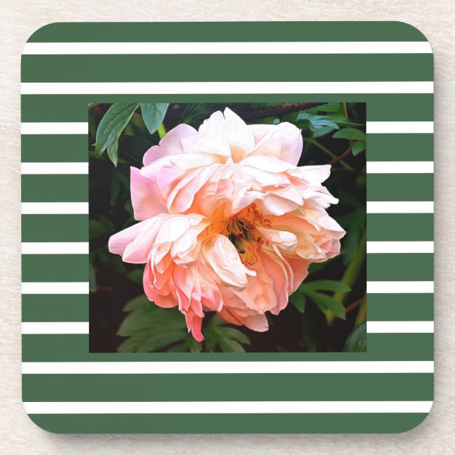 Romantic Spring Peony on Summery Green Stripes Beverage Coaster (Front)