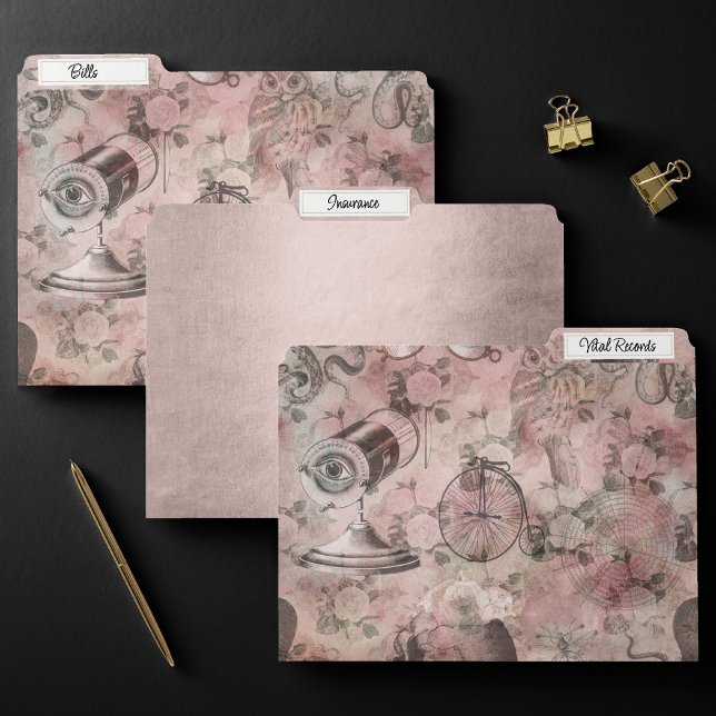 Romantic Steampunk | Antique Vintage Ephemera File Folder (Creator Uploaded)