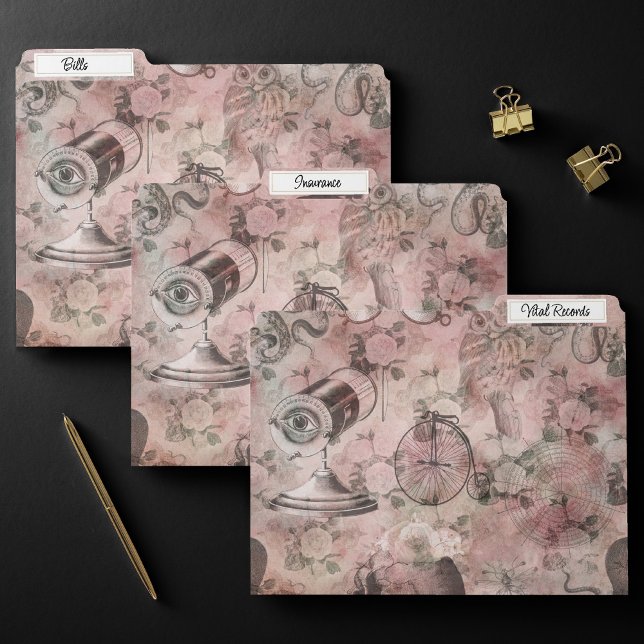 Romantic Steampunk | Antique Vintage Ephemera File Folder (Creator Uploaded)