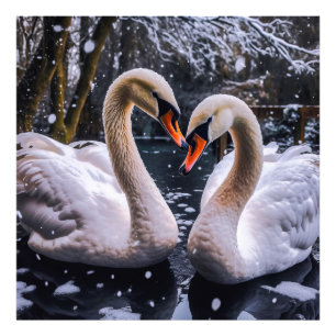 Romantic Swans in a Winter Wonderland Photo Print