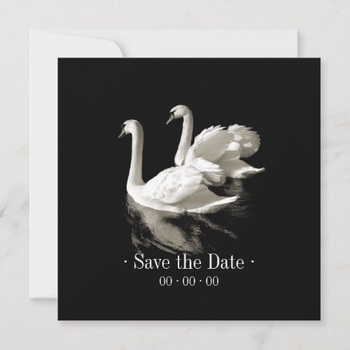 Romantic Swans _ Save the date announcement