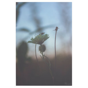 Romantic Trees & Flowers – Botanical Fantasy Boho  Gallery Wrap