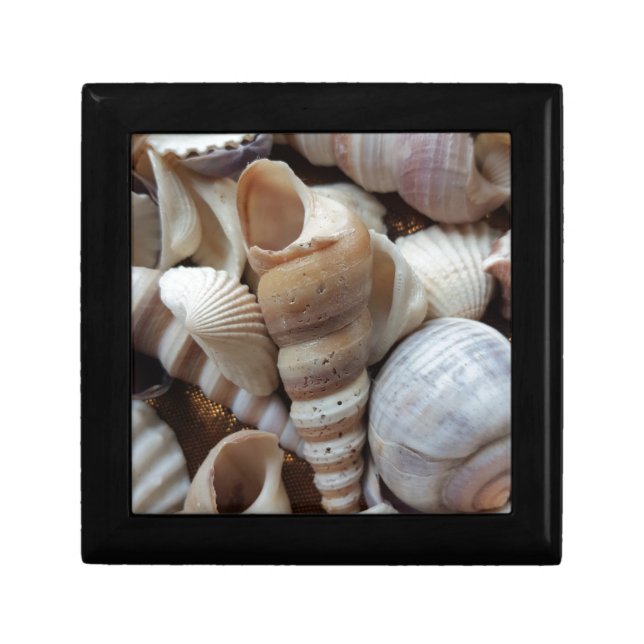 Romantic Tropical Exotic Sea Shells Beach Love Gift Box (Front)