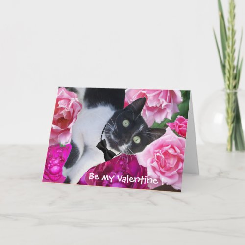 ROMANTIC VALENTINES DAY CAT WITH PINK ROSES HOLIDAY CARD
