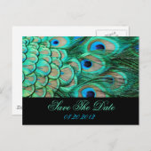 romantic vintage  peacock wedding save the date announcement postcard (Front/Back)