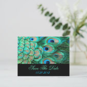 romantic vintage  peacock wedding save the date announcement postcard (Standing Front)