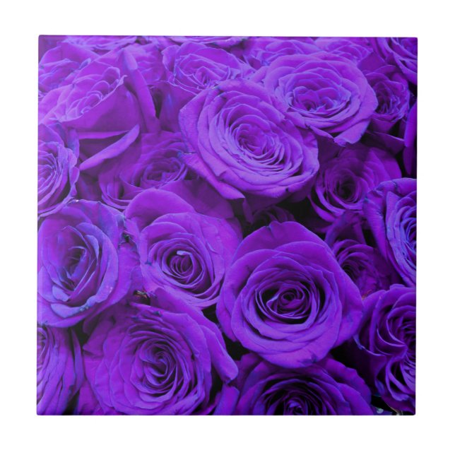 romantic violet purple roses, pretty rose bouquet ceramic tile (Front)