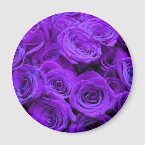 romantic violet purple roses pretty rose bouquet magnet