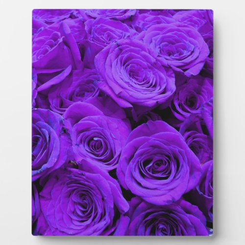 romantic violet purple roses pretty rose bouquet plaque