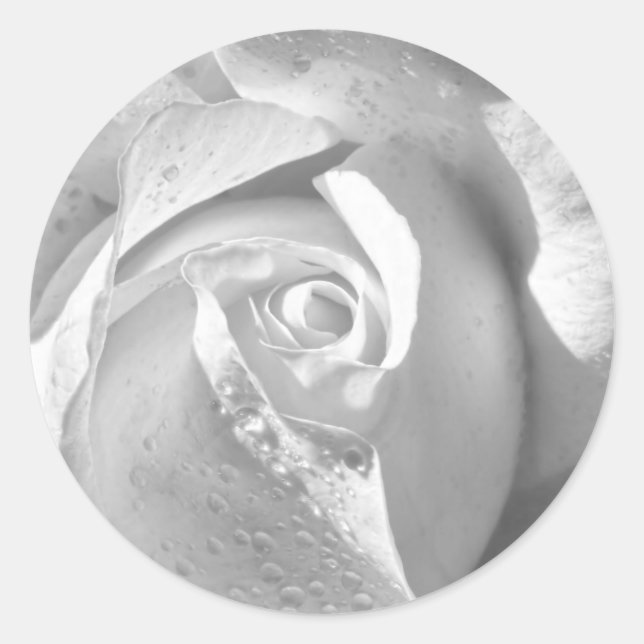 Romantic White Bridal Rose Classic Round Sticker (Front)