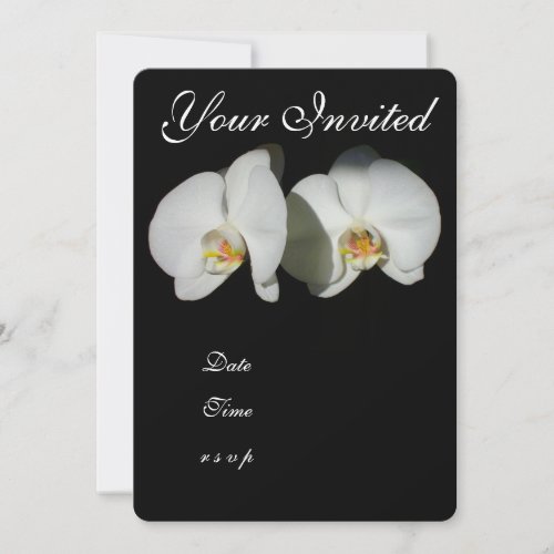 Romantic White Orchids tropical floral photo Invitation