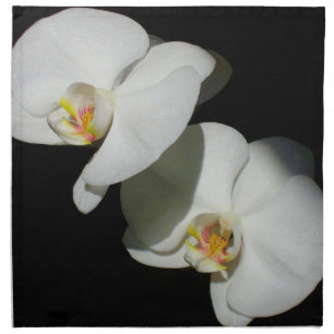 Romantic White Orchids, tropical floral photo Napkin