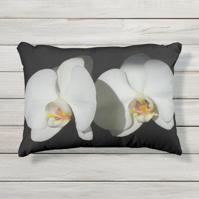 Romantic White Orchids, tropical floral photo Outdoor Pillow (Front)